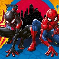 Character/Franchise: Spiderman 