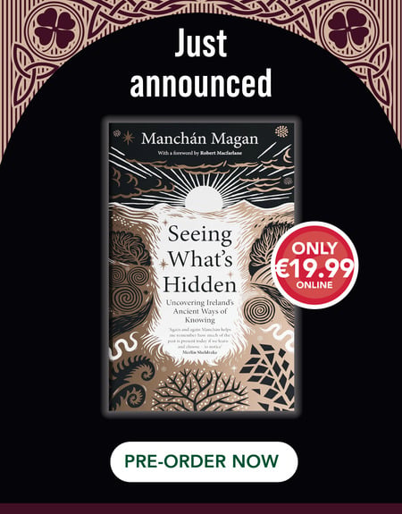 Seeing What's Hidden by Manchán Magan 